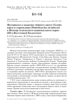 Материалы к кадастру чёрного аиста Ciconia nigra и серпоклюва Ibidorhyncha struthersii в Жонгар-Алатауском национальном парке (Юго-Восточный Казахстан)