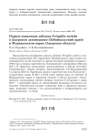 Первое появление зяблика Fringilla coelebs в Даурском заповеднике (Забайкальский край) и Муравьевском парке (Амурская область)