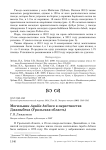 Могильник Aquila heliaca в окрестностях Джаныбека (Уральская область)