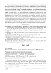 Новая встреча хохлатой синицы Parus cristatus в городе Ставрополе