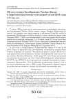 Об отсутствии белобровика Turdus iliacus в окрестностях Печор в гнездовой сезон 2014 года