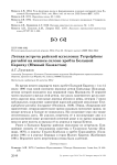 Летняя встреча райской мухоловки Terpsiphone paradisi на южном склоне хребта Большой Каратау (Южный Казахстан)