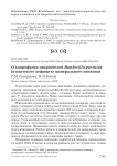 О копрофагии свиристелей Bombycilla garrulus (в контексте дефицита минерального питания)