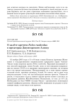 О залёте кречета Falco rusticolus  в предгорья Джунгарского Алатау