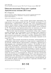 Инвазия московки Parus ater в район Архангельска осенью 2014 года