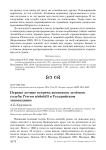 Первые летние встречи японского зелёного голубя Treron sieboldii в Уссурийском заповеднике