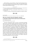 Желтоголовый королёк Regulus regulus в питании чайки-хохотуньи Larus cachinnans