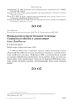 Февральские встречи большой чечевицы Carpodacus rubicilla в заповеднике Аксу-Джабаглы