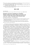 Первые находки индийского воробья Passer indicus на Тениз-Кургальджинской системе озёр в Центральном Казахстане