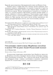 Гнездование синей птицы Myophonus coeruleus в шлюзе ГЭС на реке Аксай (Таласский Алатау)