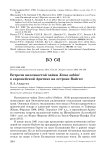 Встречи вилохвостой чайки Xema sabini в европейской Арктике на острове Вайгач