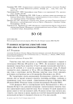 О зимних встречах ушастой совы Asio otus в Коломенском (Москва)