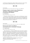 Первая встреча синей птицы Myophonus coeruleus в Чарынском каньоне (Северный Тянь-Шань)