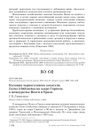 Колония черноголового хохотуна Larus ichthyaetus на озере Сорколь в междуречье Волги и Урала