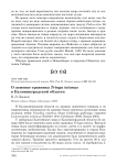 О зимовке травника Tringa totanus в Калининградской области