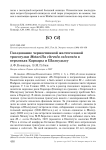 Гнездование черноспинной желтоголовой трясогузки Motacilla citreola calcarata в верховьях Каркары и Шалкудысу