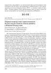 Первая встреча стаи туркестанского белого аиста Ciconia ciconia asiatica в Южном Казахстане