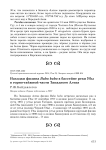 Находки филина Bubo bubo в бассейне реки Убы в горно-таёжной части Западного Алтая