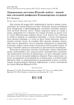 Деревенская ласточка Hirundo rustica - новый вид гнездовой авифауны Командорских островов