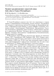 Зимнее размножение ушастой совы Asio otus в Санкт-Петербурге