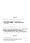 Новые встречи стрепета Tetrax tetrax в предгорьях Каратау и Таласского Алатау