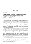 Новые данные о зимовке кудрявого пеликана Pelecanus crispus в Краснодарском крае