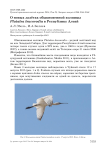 О новых залётах обыкновенной колпицы Platalea leucorodia в Республику Алтай