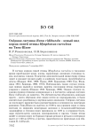 Озёрная лягушка Rana ridibunda - новый вид корма синей птицы Myophonus caeruleus на Тянь-Шане