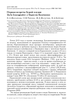 Первая встреча бурой олуши Sula leucogaster у берегов Камчатки