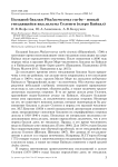 Большой баклан Phalacrocorax carbo - новый гнездящийся вид дельты Селенги (озеро Байкал)