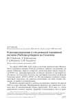 О распространении и гнездовании серощёкой поганки Podiceps grisegena на Сахалине