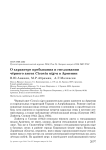 О характере пребывания и гнездовании чёрного аиста Ciconia nigra в Армении