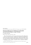 Овсянка Янковского Emberiza jankowskii  на восточном берегу озера Тальми