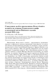 О массовом залёте шилоклювок Recurvirostra avosetta на острова Кургальского рифа в восточной части Финского залива весной 2016 года