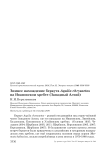 Зимнее нахождение беркута Aquila chrysaetos на Ивановском хребте (Западный Алтай)