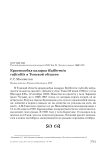 Краснозобая казарка Rufibrenta ruficollis в Томской области