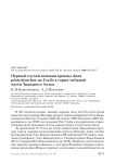 Первый случай зимовки кряквы Anas platyrhynchos на Ульбе в горно-таёжной части Западного Алтая