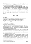 Гнездовые находки большого подорлика Aquila clanga и сапсана Falco peregrinus на Салаире в 2013 году