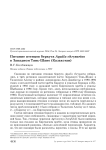 Питание птенцов беркута Aquila chrysaetos в Западном Тянь-Шане (Казахстан)