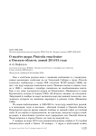 О налёте щура Pinicola enucleator в Омскую область зимой 2014/15 года