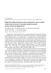 Пример образования многовидового поселения птиц в результате гнездостроительной деятельности врановых