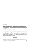 Встреча азиатского бекасовидного веретенника Limnodromus semipalmatus в Читинской области