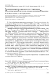 Зимняя встреча горихвостки-чернушки Phoenicurus ochruros на северо-востоке Украины