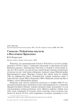Стенолаз Tichodroma muraria в Восточном Приазовье