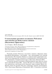 О скоплениях розового пеликана Pelecanus onocrotalus на Бейсугском лимане (Восточное Приазовье)