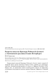 Встреча попугая крамера Psittacula krameri у Лахтинского разлива (Санкт-Петербург)