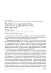 Заметки о некоторых видах птиц, встреченных в окрестностях Ялты в мае 2017 года