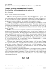 Новые залёты каравайки Plegadis falcinellus в Кустанайскую область