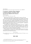 О зимовке зимняка Buteo lagopus и перепелятника Accipiter nisus на востоке Кировской области