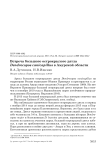 Встреча большого острокрылого дятла Dendrocopos canicapillus в Амурской области